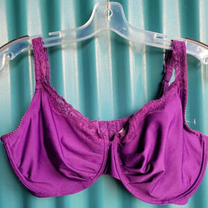 Bamboo New  York Purple Bra 38DD